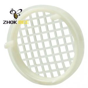White Queen catcher
